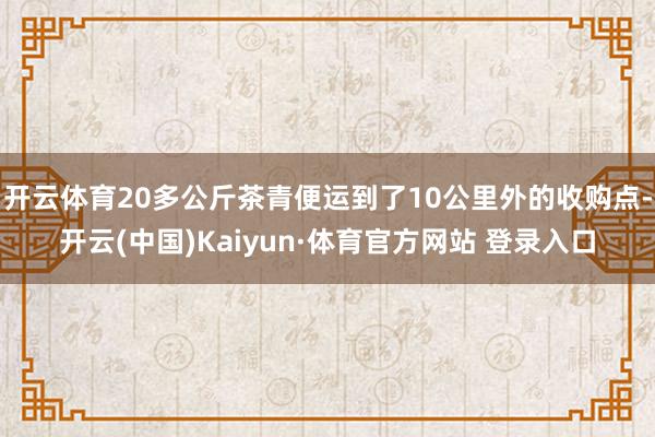 开云体育20多公斤茶青便运到了10公里外的收购点-开云(中国)Kaiyun·体育官方网站 登录入口